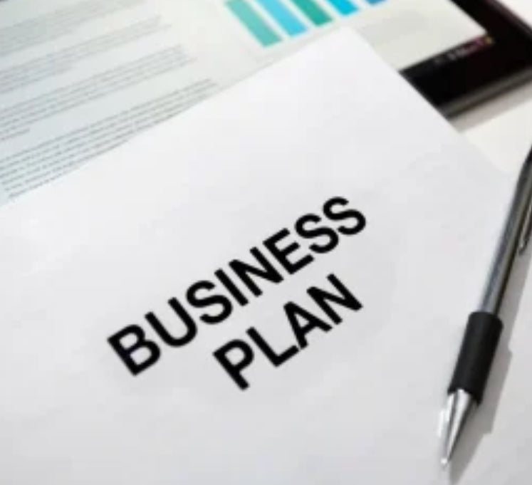 Business Plan Creations starting at $450